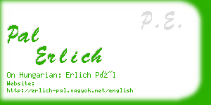 pal erlich business card